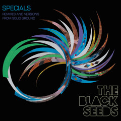The Black Seeds - Slingshot - Truth Remix