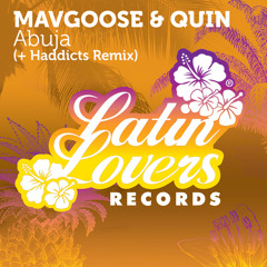 Mavgoose & Quin - Abuja (Haddicts remix) Releasedate 16-09 (Latin Lovers Records)