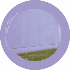 Anton Pieete – Loner (REJ029)