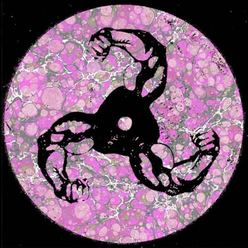 ASTER | CIELO (BICEP REMIX II)