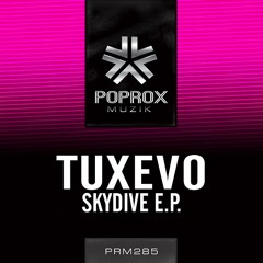Twisted (Original Mix)