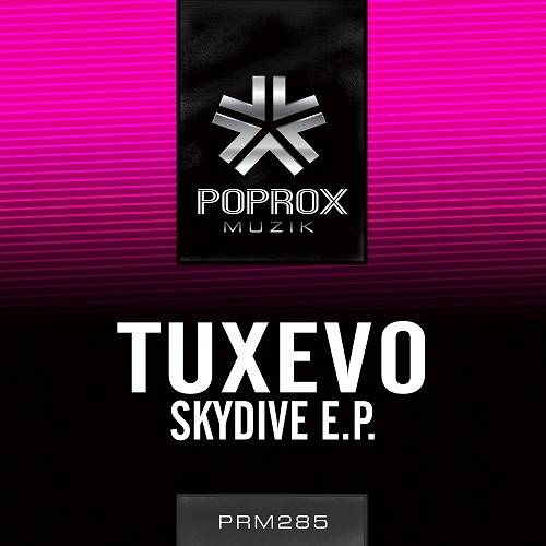 Twisted (Original Mix)