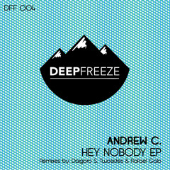 Andrew C. - Hey Nobody (Original Mix) SAMPLE [DeepFreeze Rec.]