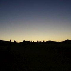 Desert Silhouettes