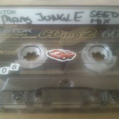 Many Jungle SEED MIXTAPE 08/2002