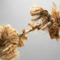 Jodi Vule Jaw By Polin