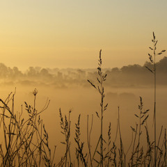Clear Channel - Morning Meditation 27th Aug'13