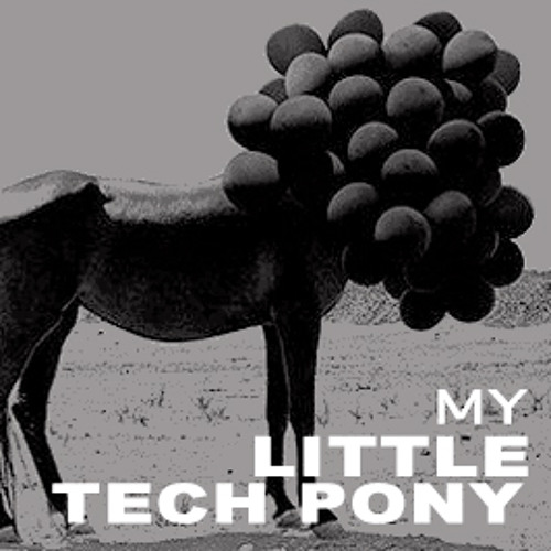 Vanessa Sukowski - MY LITTLE TECH PONY