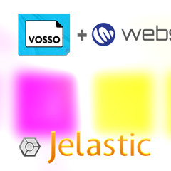 Entrevista com Luis Schedel, CEO da Websolute e Marcelo Gonzaga da Vosso