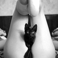 Tough Love (Jonas Mantey Triebkraft Remix )