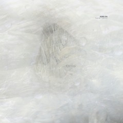 EIS 5