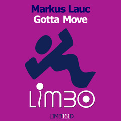 Gotta Move - Markus Lauc