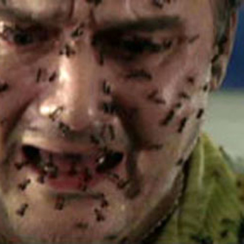 Ants In My Laptop