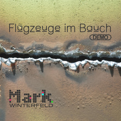 FLUGZEUGE IM BAUCH - Herbert Grönemeyer cover