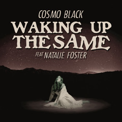 Waking Up The Same Feat. Natalie Foster