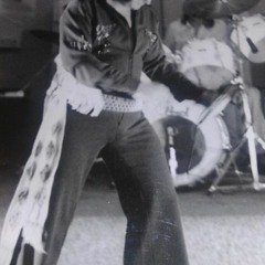 Larry Raymer sings Elvis (You're the) Devil in Disguise