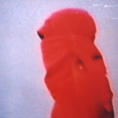 Cody B. Ware - #33 Forever (feat. Roy English)