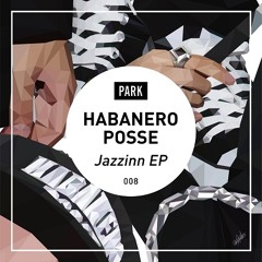 Snake Cube (Jazzinn EP) / Habanero Posse