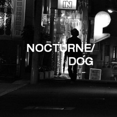 Nocturne dog