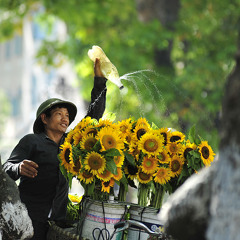 Chiều Hà Nội - Mỹ Linh