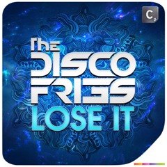 Disco Fries - Lose It (Preview)