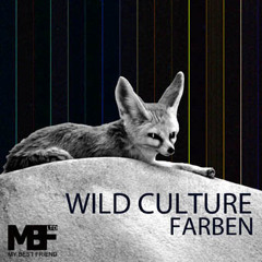 Wild Culture - Farben (Philipp Straub Remix)