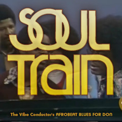 Stevie Wonder - Afrobeat Blues for Don (Soul Train)