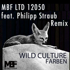 Wild Culture - Farben (Philipp Straub Remix) - MBF Ltd.