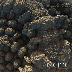 Erratic – Downward Echoes