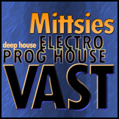 Vast (AVP Mix)