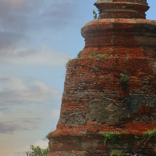 [gterma037] : David Parsons - Halcyon / Tashi