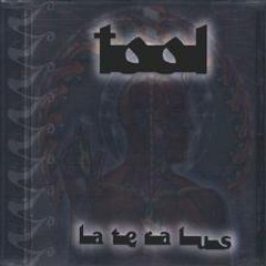 Tool - Lateralus (Guitar Cover)