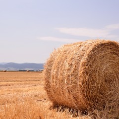 Max Cooper ft. BRAIDS - Pleasures (Alessandro Diga Remix) [ Free Download ]