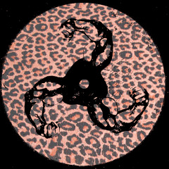 ZOO LOOK | FEEL MY BICEP MIX