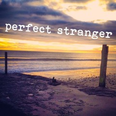 Perfect Stranger