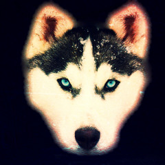 Donno - Running From a Hill (No vocals included)