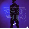 Avicii - Wake me up (Micky Uk Emotions mix)