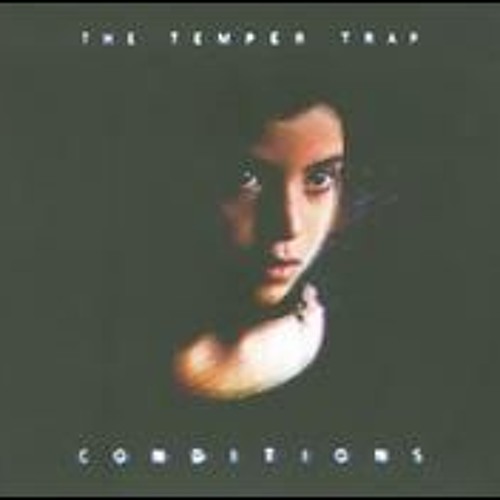 The temper trap sweet disposition create fabric