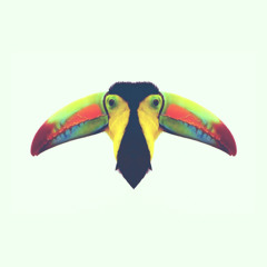 Two Toucans - Sunny Samba