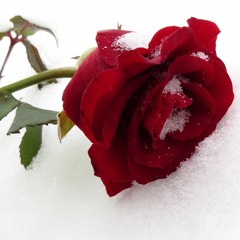 Madraste ft. Lea - I'm addicted to you (preview)