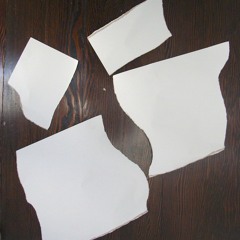 RDGSFX007 RIPS AND TEARS RAW PREVIEW