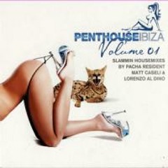Penthouse Bitch -  Matt Caseli - Seminal Grooves Dust Lounge Mix