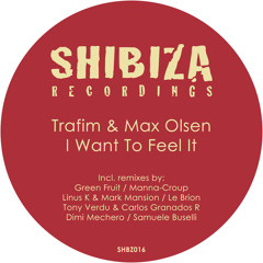Trafim, Max Olsen - I Want To Feel It (Dimi Mechero Remix)