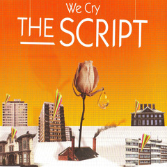 The Script - We Cry (Accoustic Cover)