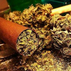 PhatFellas (Under Construction)