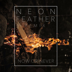 Cary Nokey - Now Or Never (Neon Feather Remix)