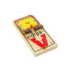 Trappin  (prod by Drummer)