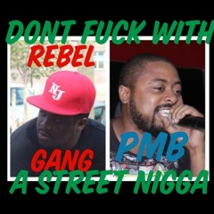 DONT FUCK WIT A STREET NIGGA FT.WALK PMB