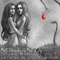 Expansion Project Vol. 7 (2Step/Garage/Brokenbeat/Breaks)