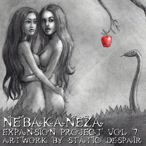 Expansion Project Vol. 7 (2Step/Garage/Brokenbeat/Breaks)